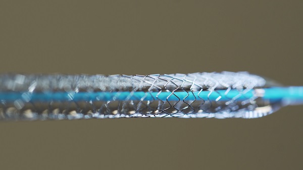 Nitinol Formed Wire Medical Device for Implant in Artery