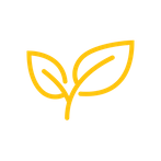 Yellow leaf icon